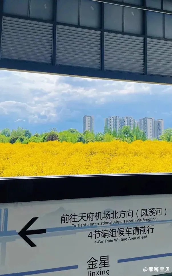 如何利用杯赛提升团队协作能力_0